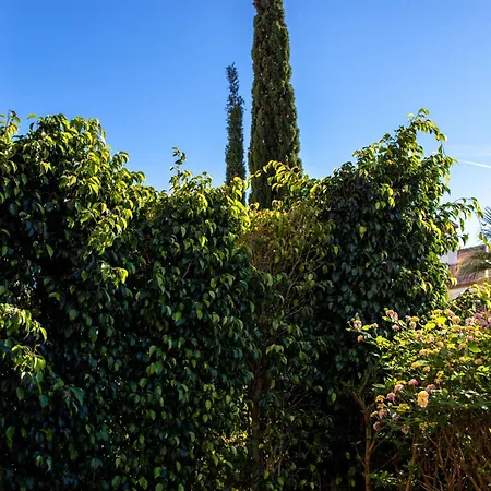 Appartamento Bajo Encantador Y Familiar En Benahavis Estepona
